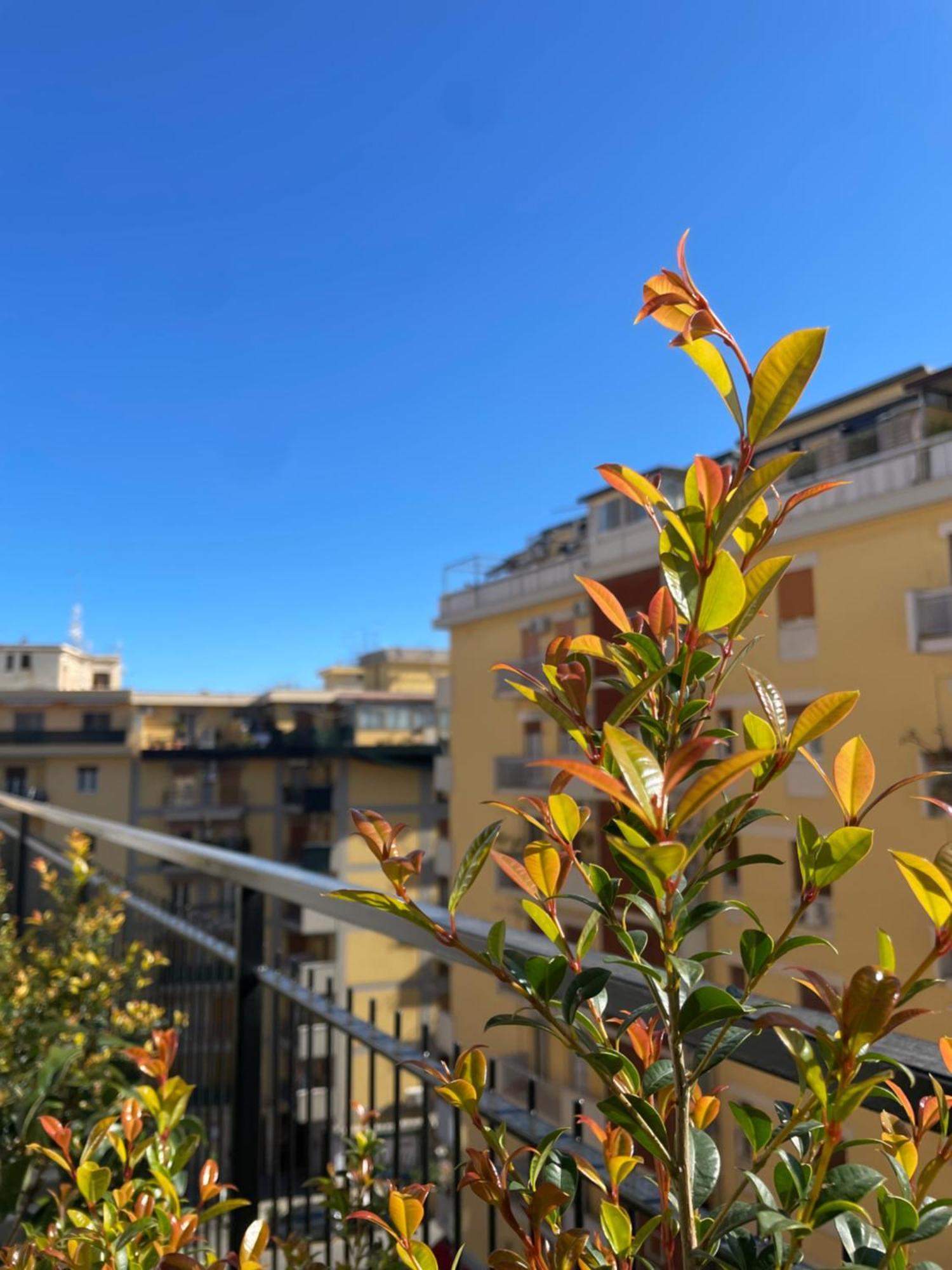 Appartamento Terrazza L Emiro Casa Vacanze Palermo Esterno foto